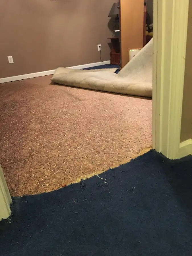Carpet pad removal revealing water damage during Drying & Dehumidification in Schiller Park