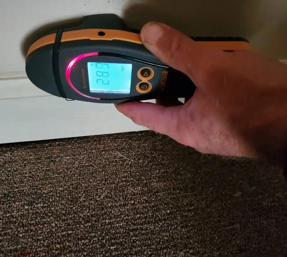Moisture detection at baseboard during Mold Inspection & Testing in Schiller Park